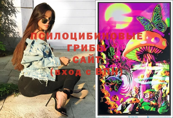 молекула духа Беломорск